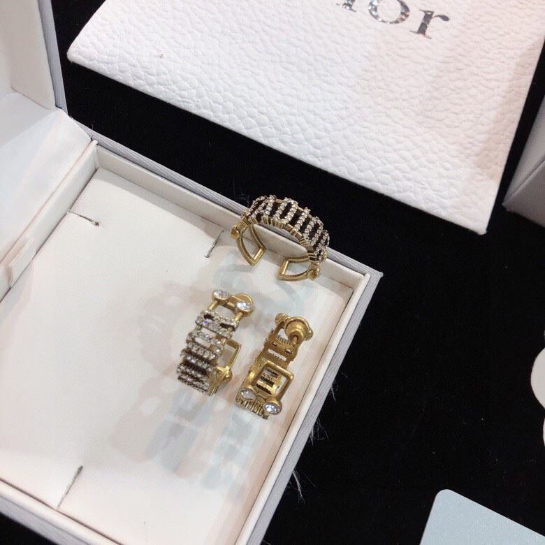 chr1st1an D10r earrings